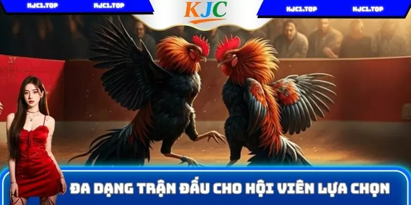 Đa dạng trận đấu cho hội viên lựa chọn