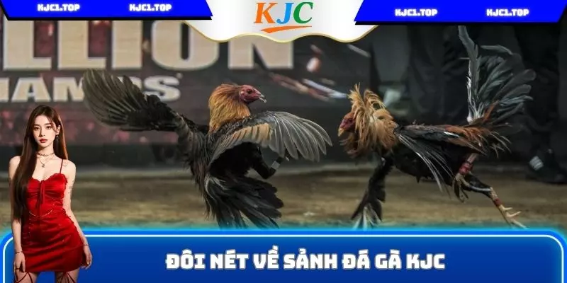 Đôi nét về sảnh đá gà KJC